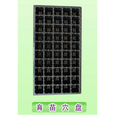 育苗穴盘